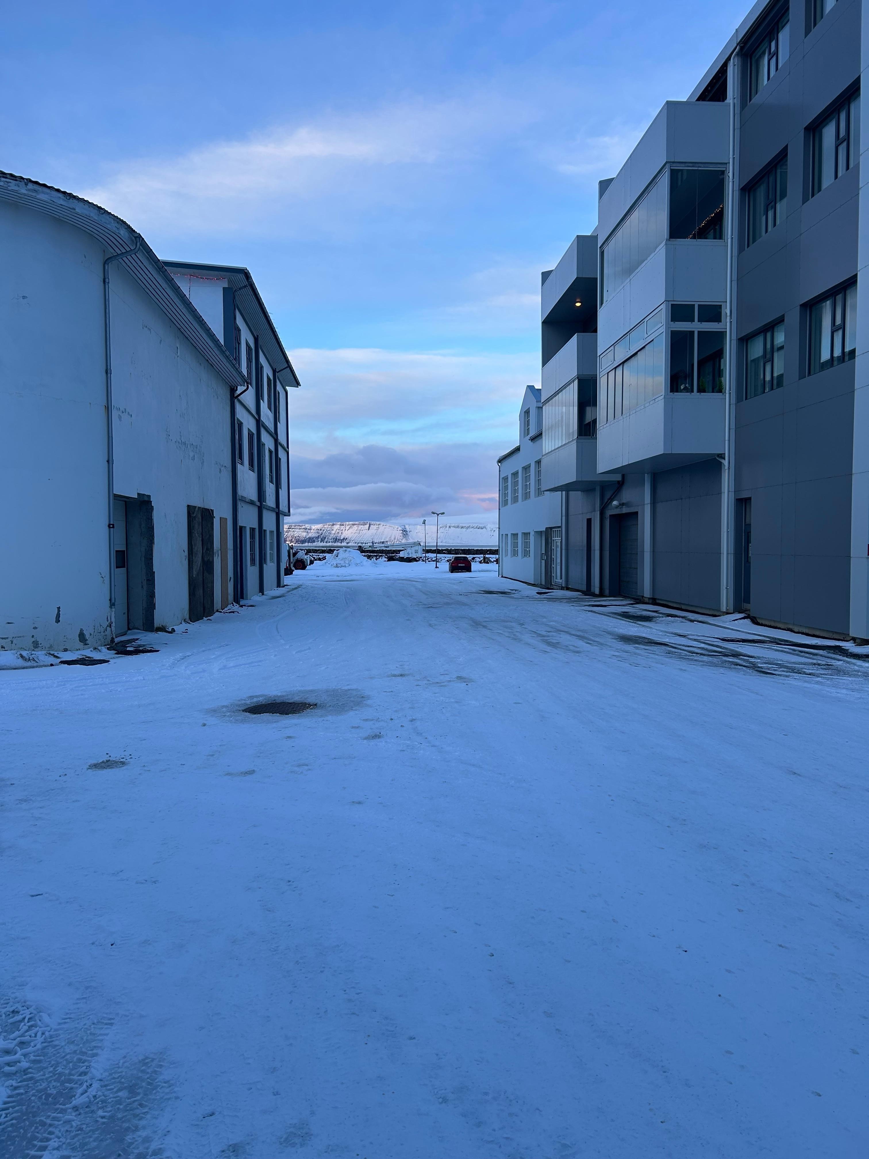 View out the front door 