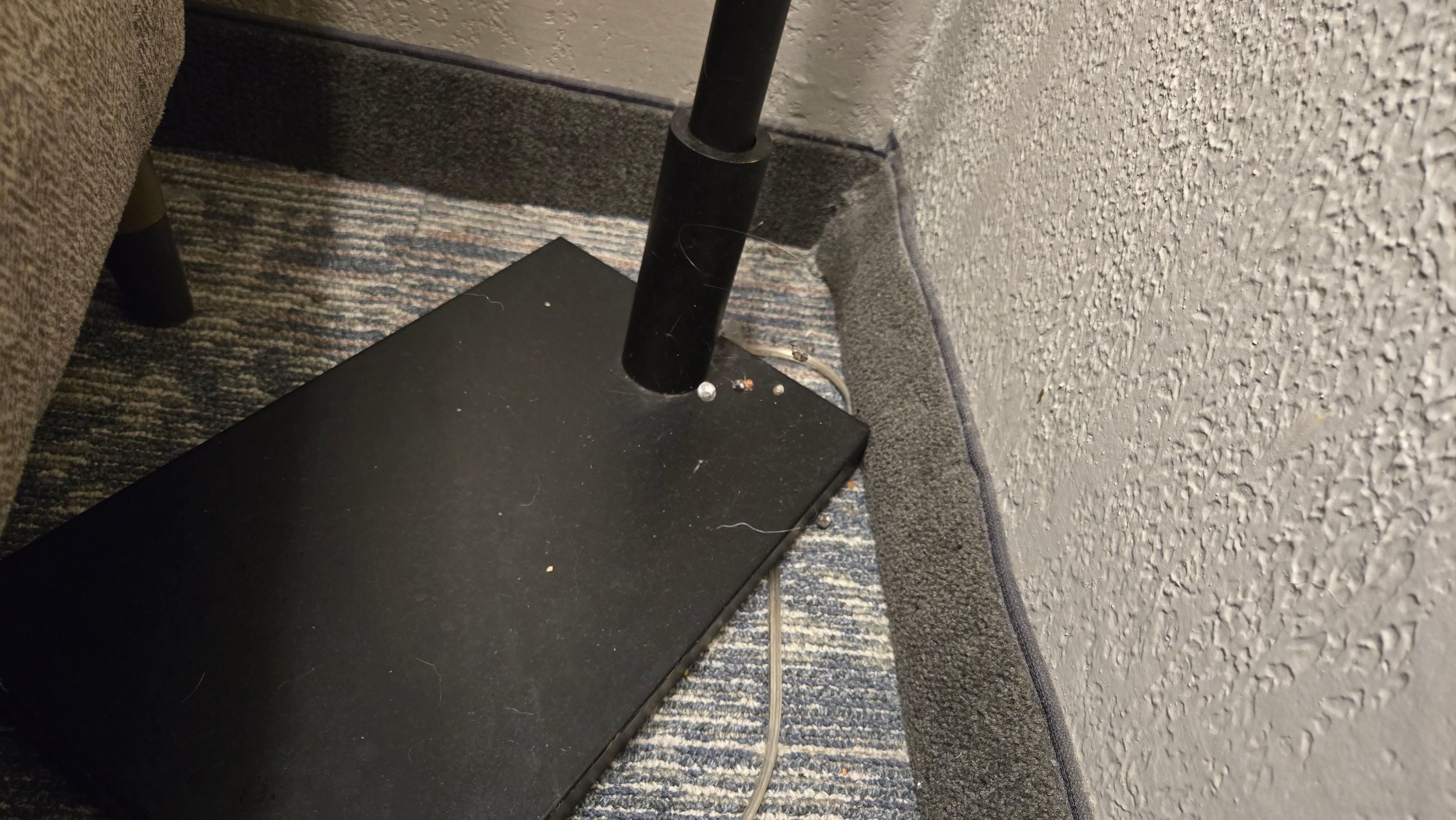 Spiders š· net in a room