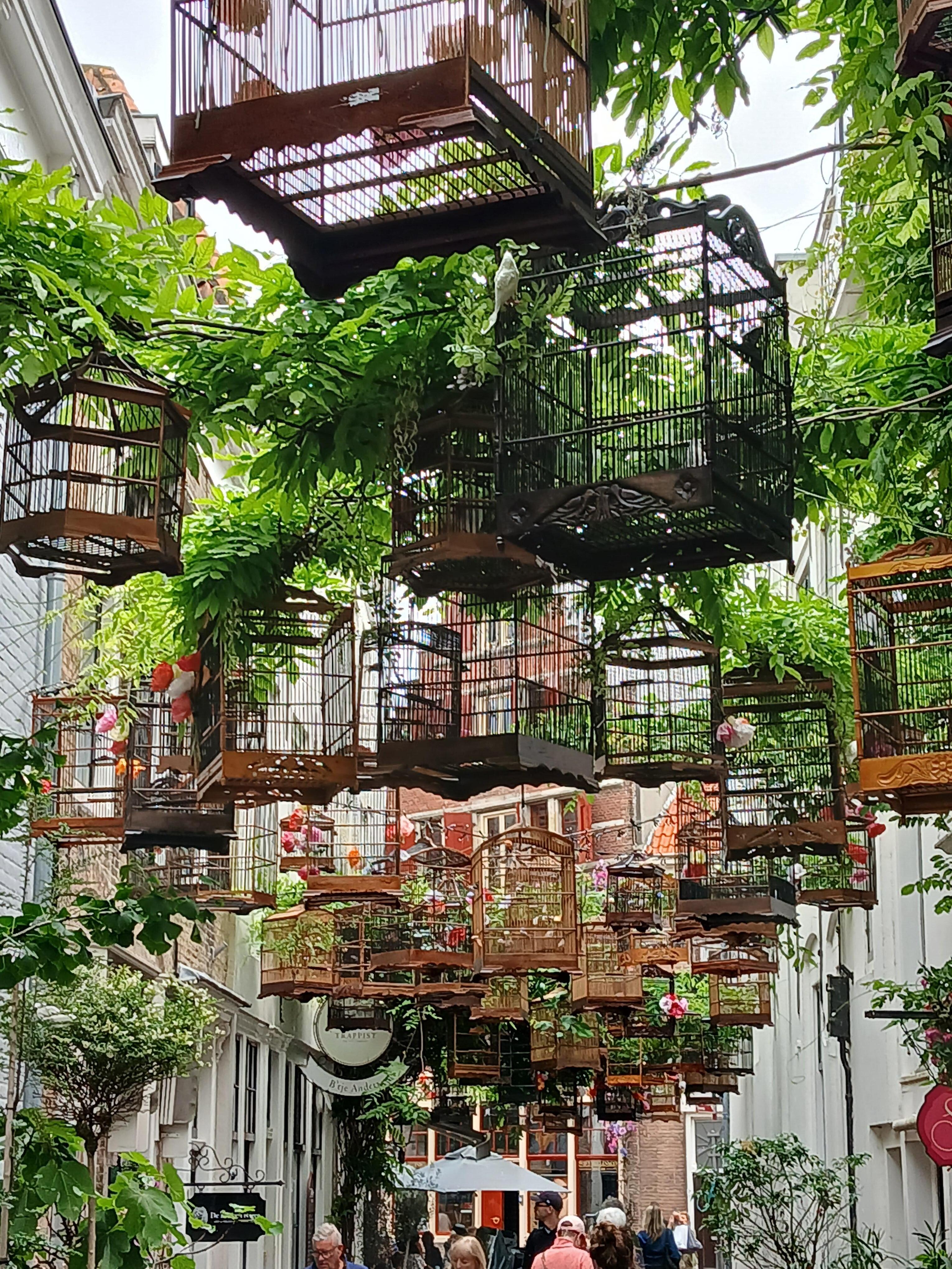 Ausflug nach Middelburg