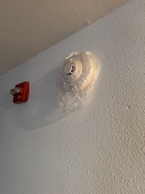 Covered smoke detectors