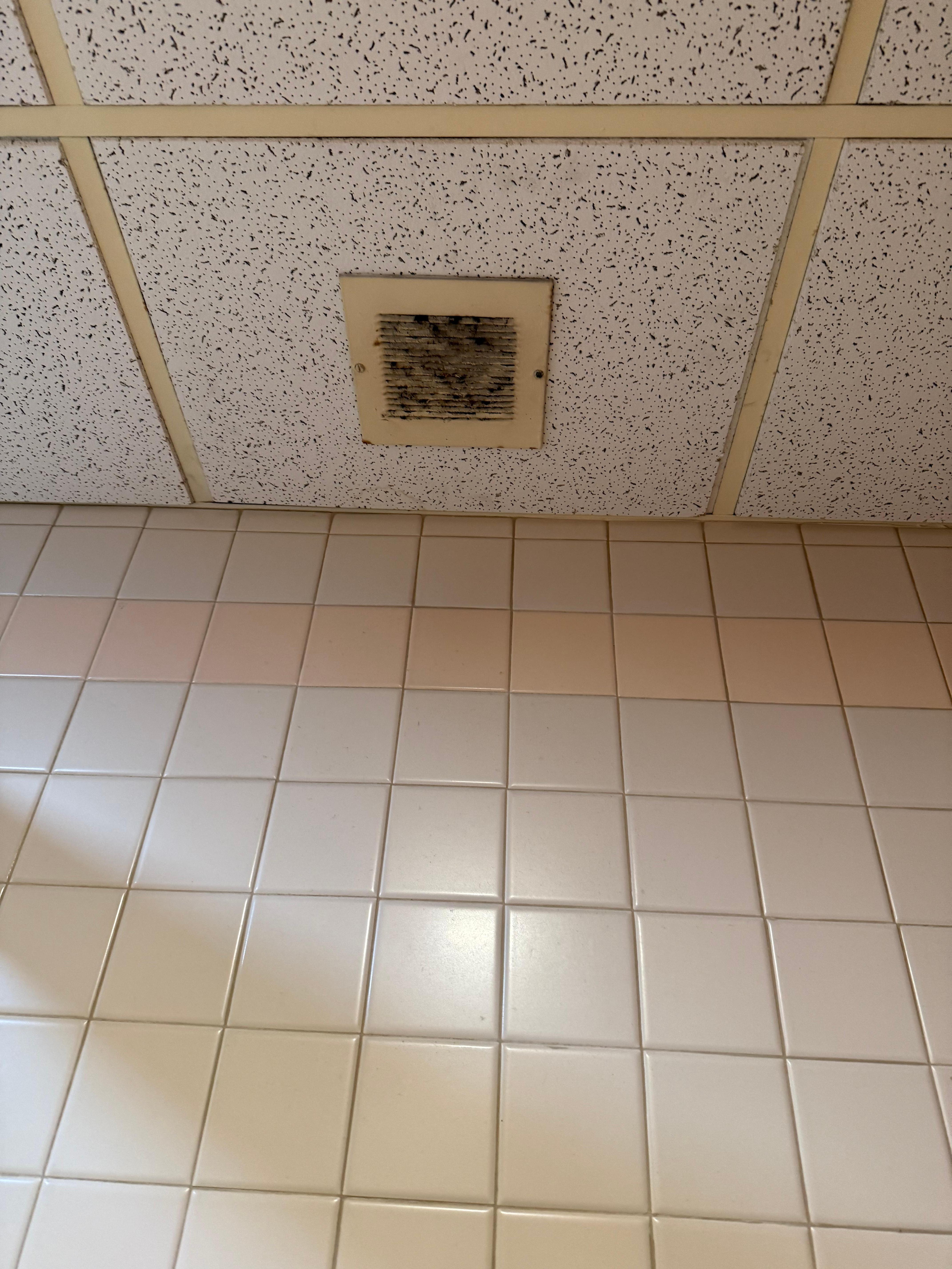 Disgusting air vent in bathroom