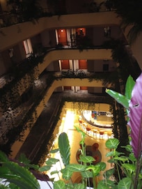 Felülről történt a fotózás. Gyönyörű, tele virágokkal.