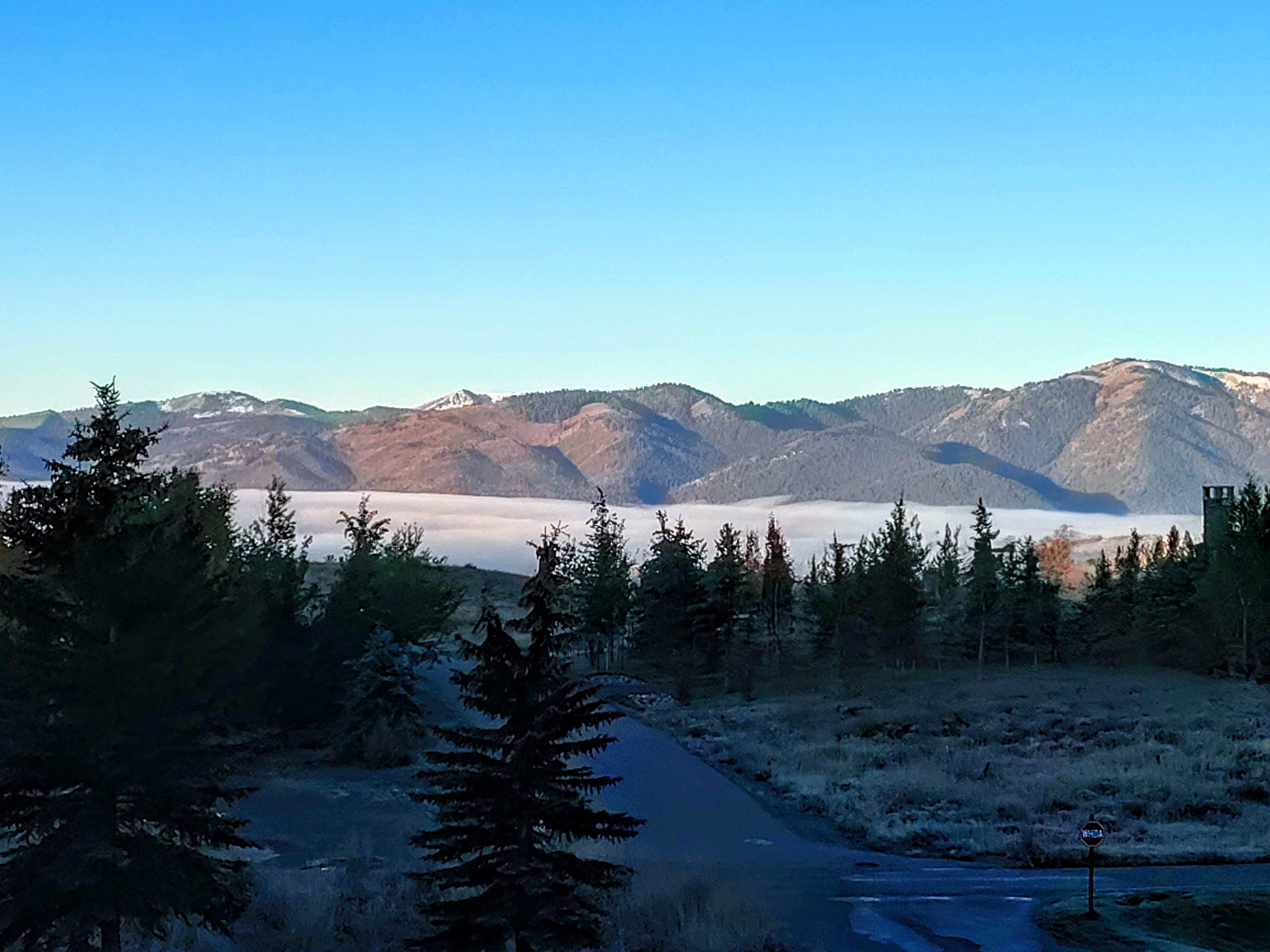 From the deck in the morning 