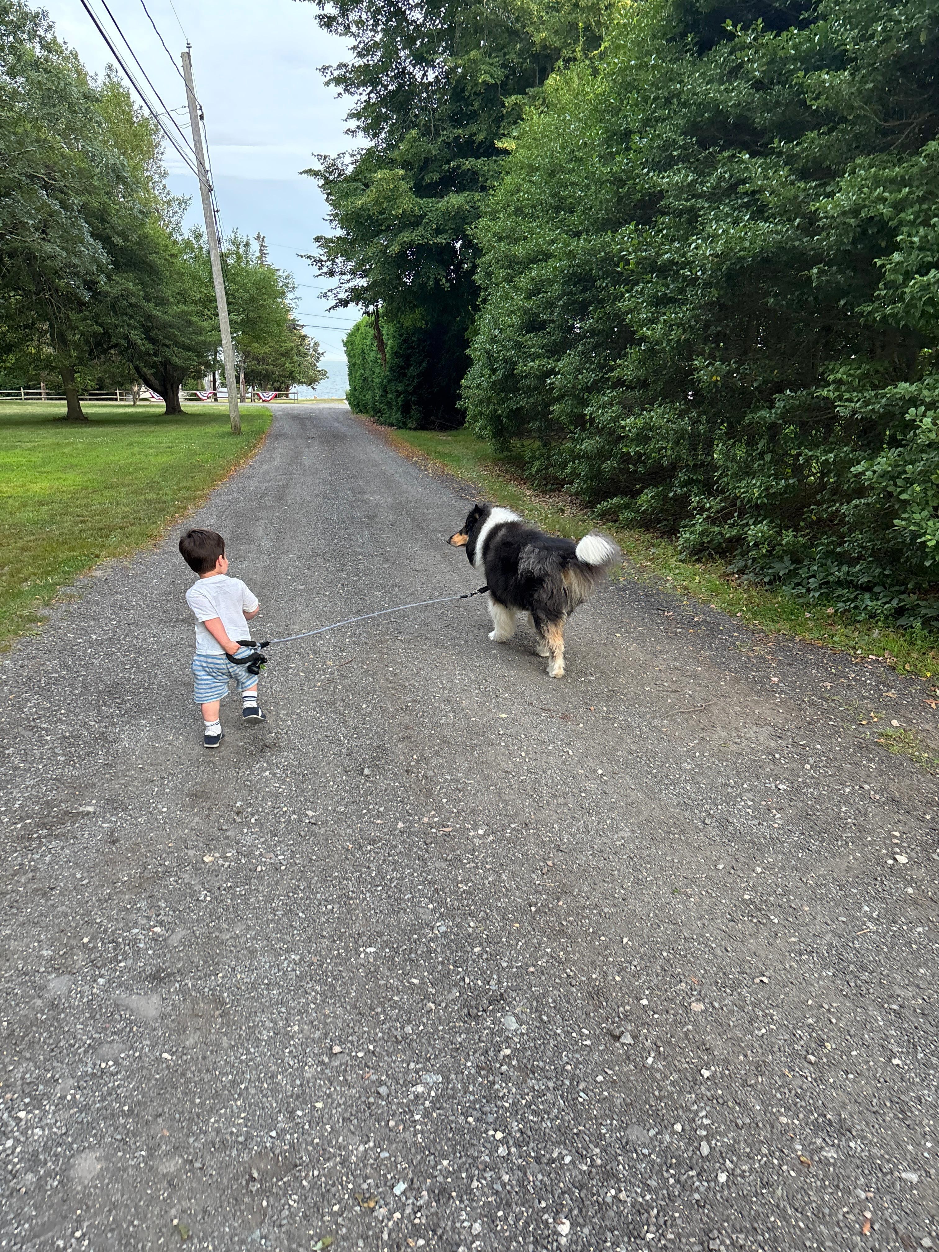Many peaceful dog walks around the neighborhood! 