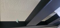 Gum on the headboard