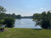 View of river from cabin.