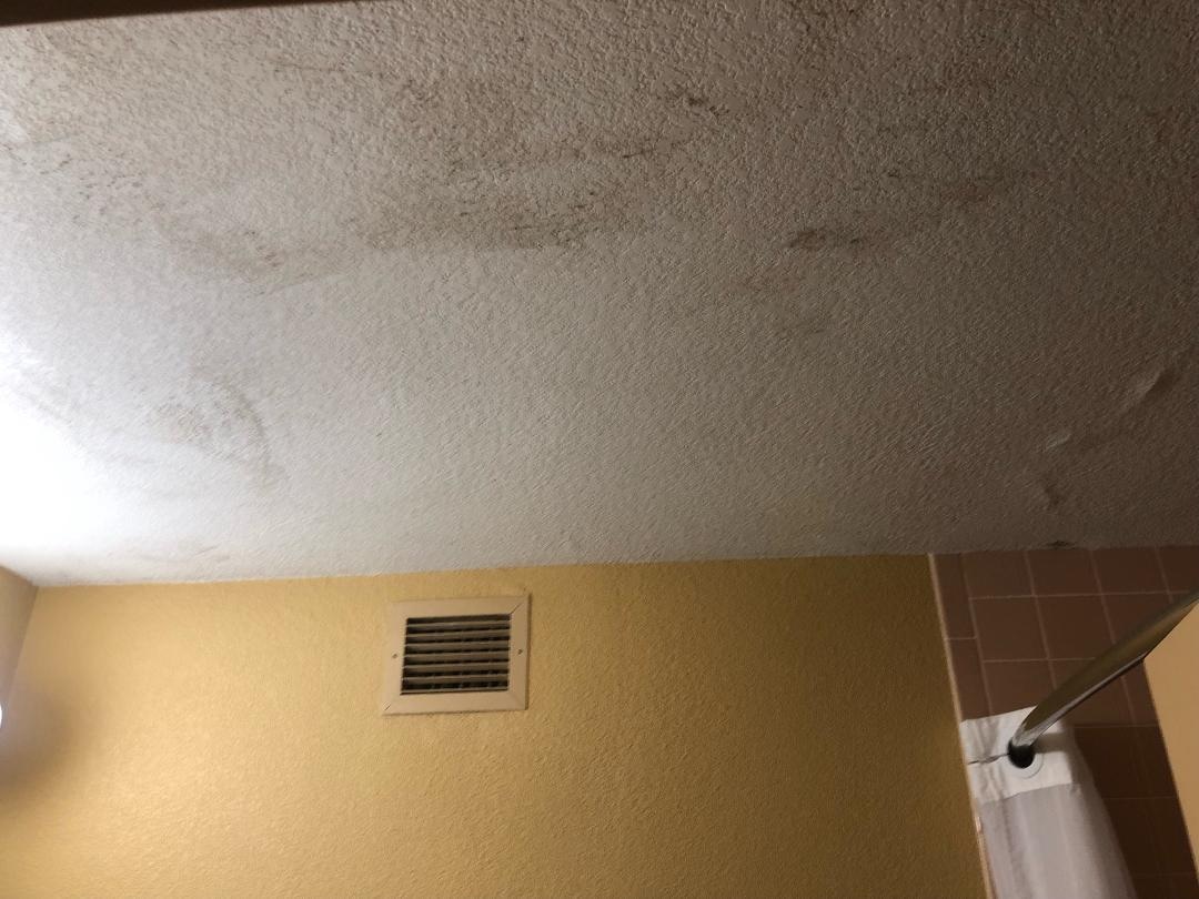 Black mold with the smell of sewage