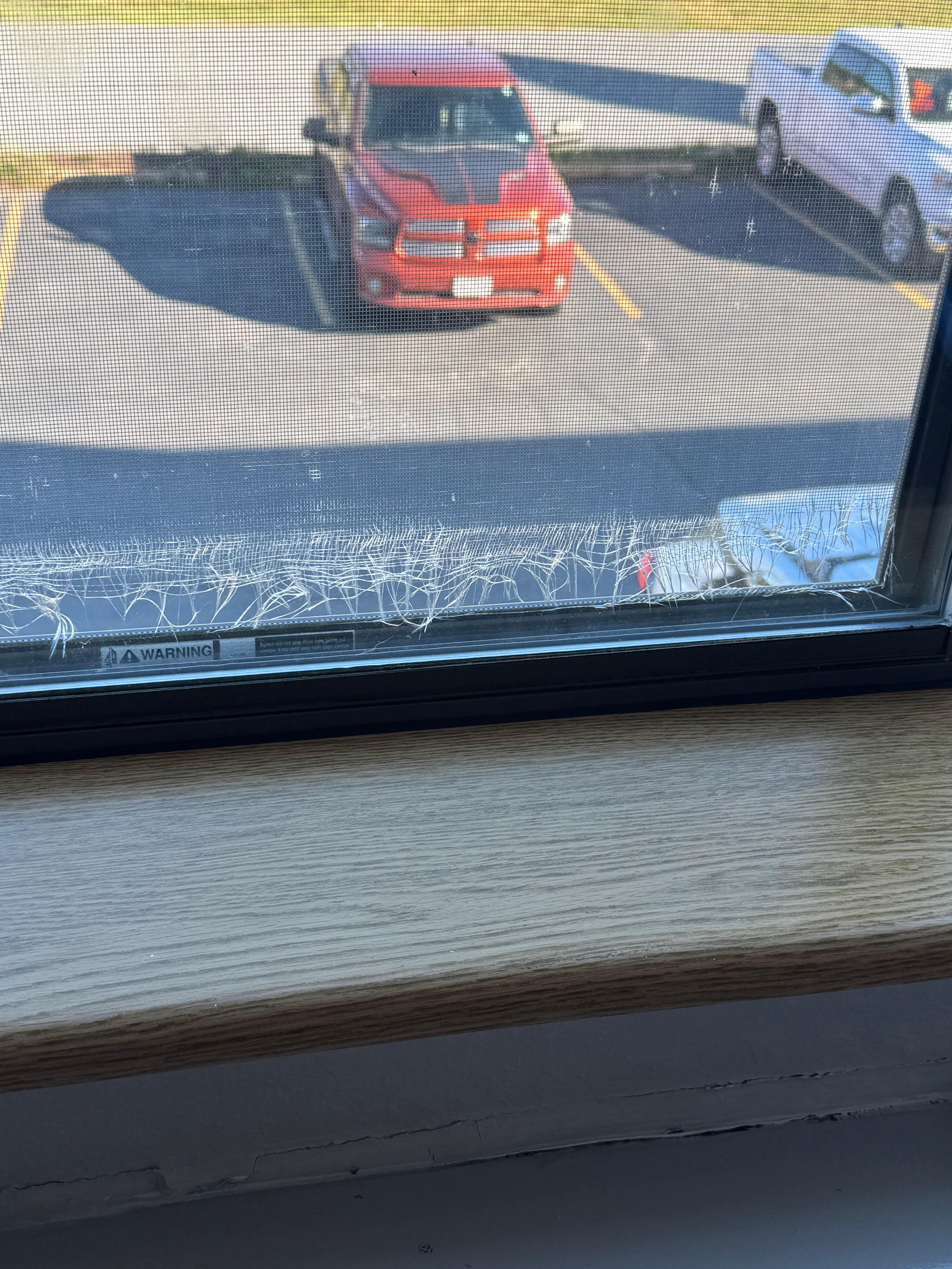 The screen was ripped