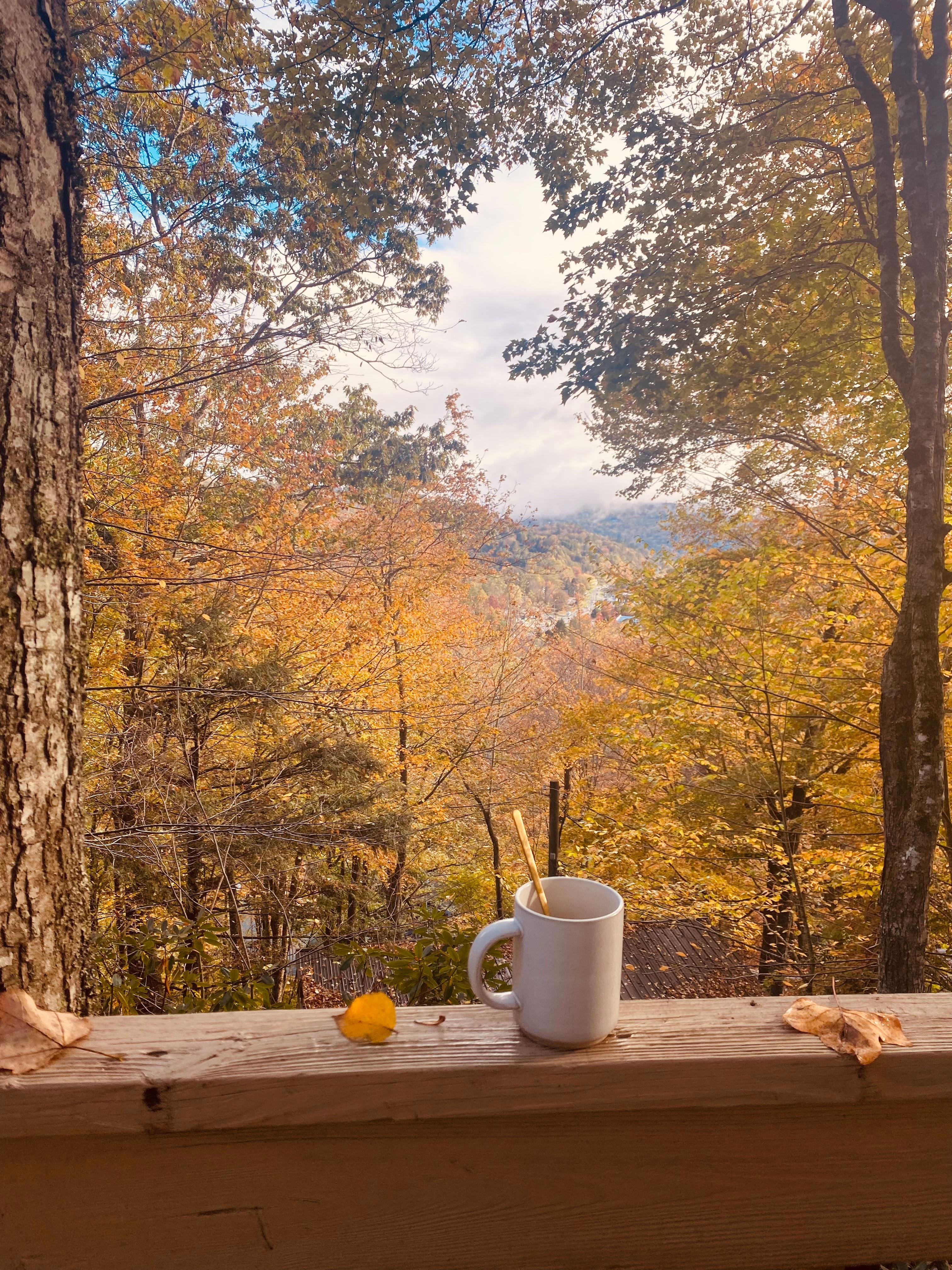 Picture perfect view. 