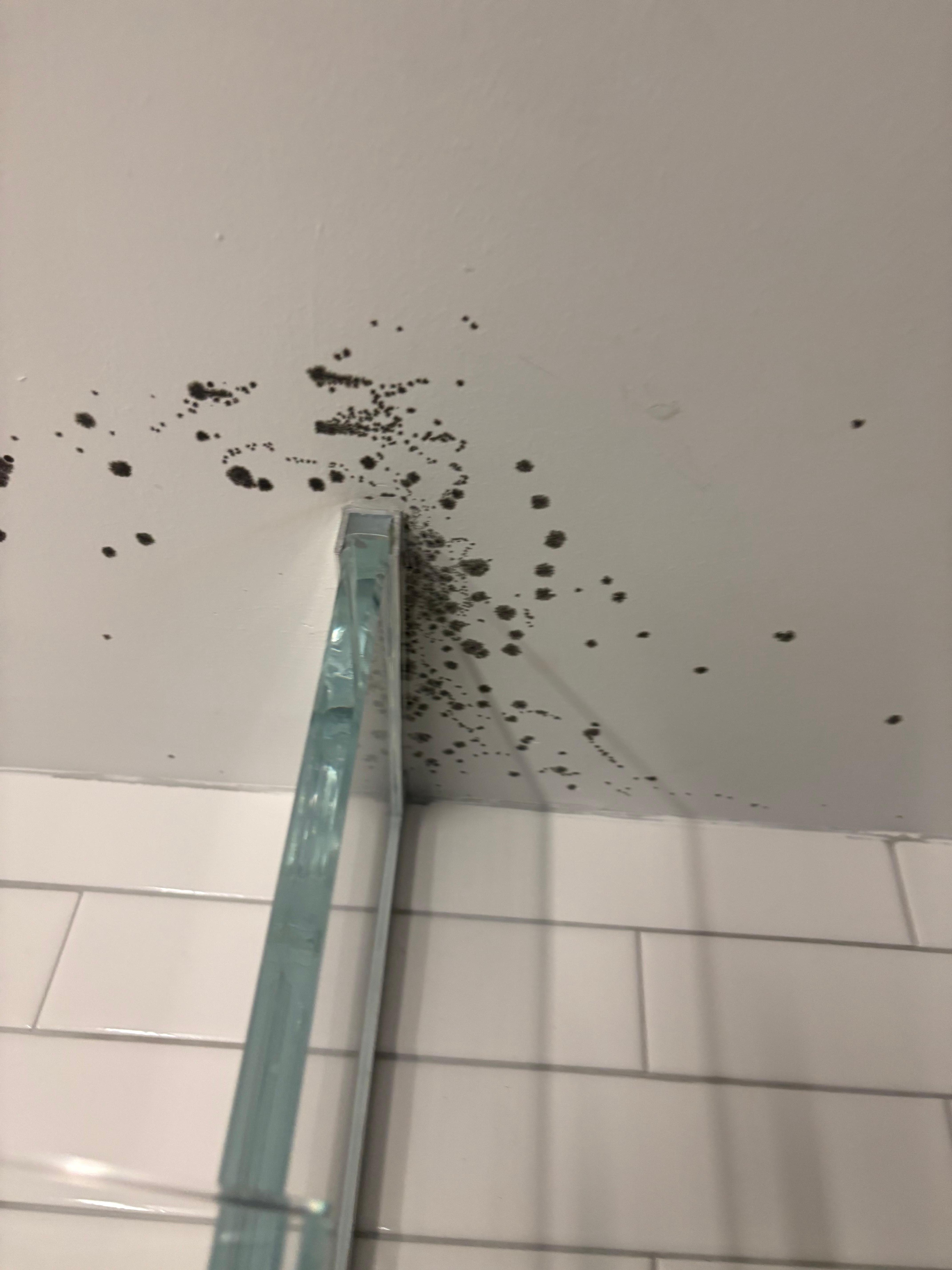 Mold in the bathroom, I waited for maintenance who never showed up 