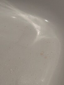 Mold from what must have been a shower Matt?