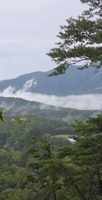 Watching the fog coming in on the first night from the porch