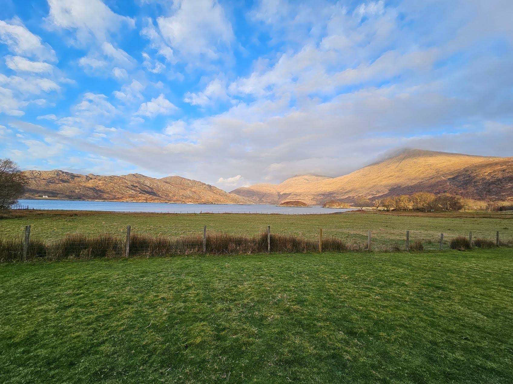 View from the patio back of the house