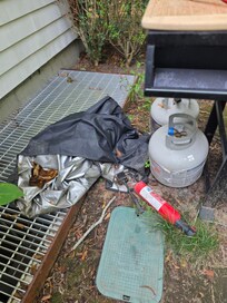 Barbecue is gross