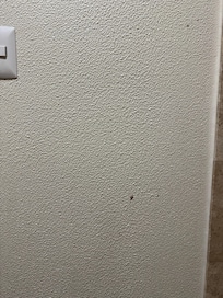 Stains on the walls, forgot to take a picture but sheets and pillow cases were stained/dirty