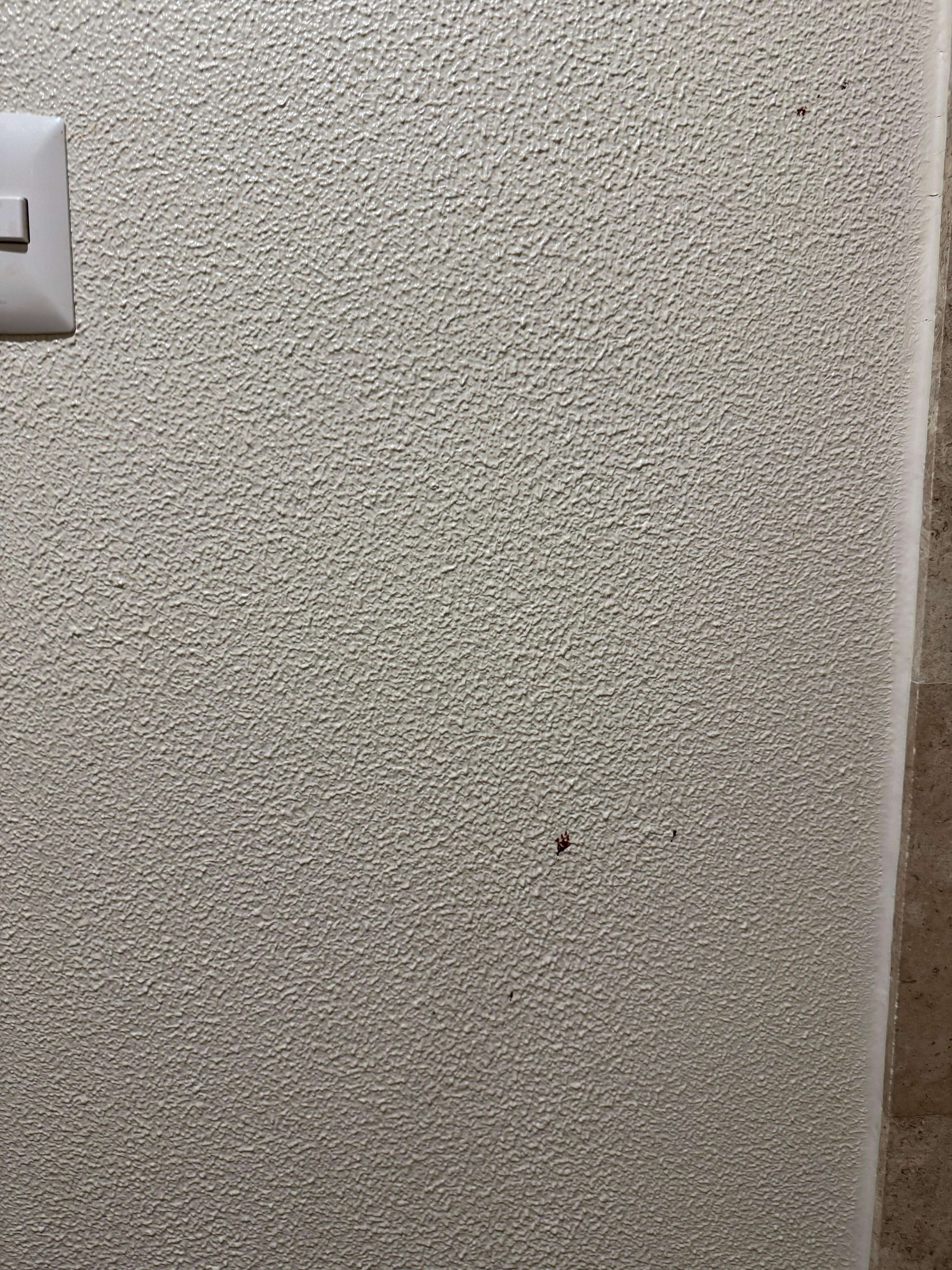 Stains on the walls, forgot to take a picture but sheets and pillow cases were stained/dirty