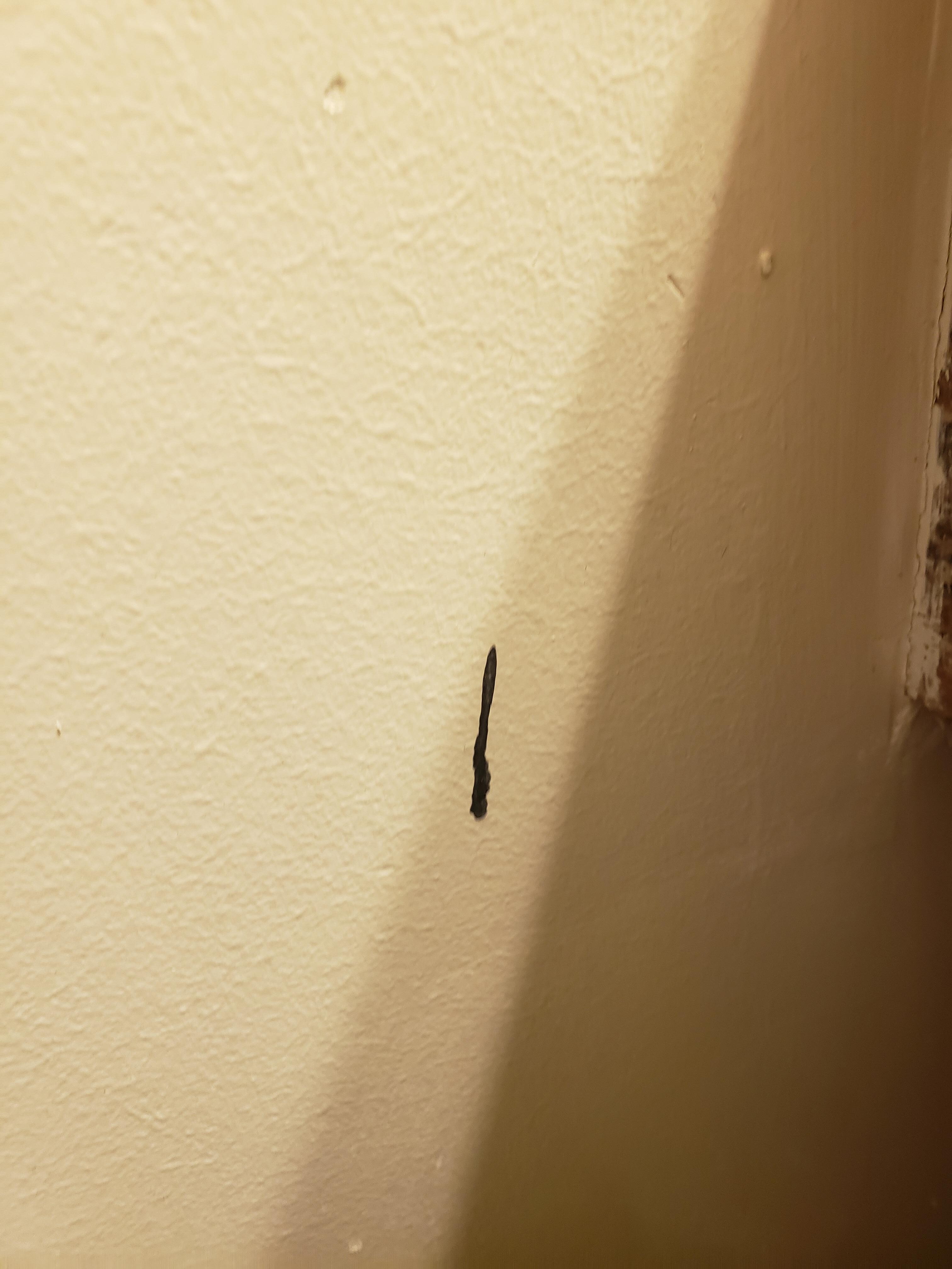 Paint in the middle of the wall?