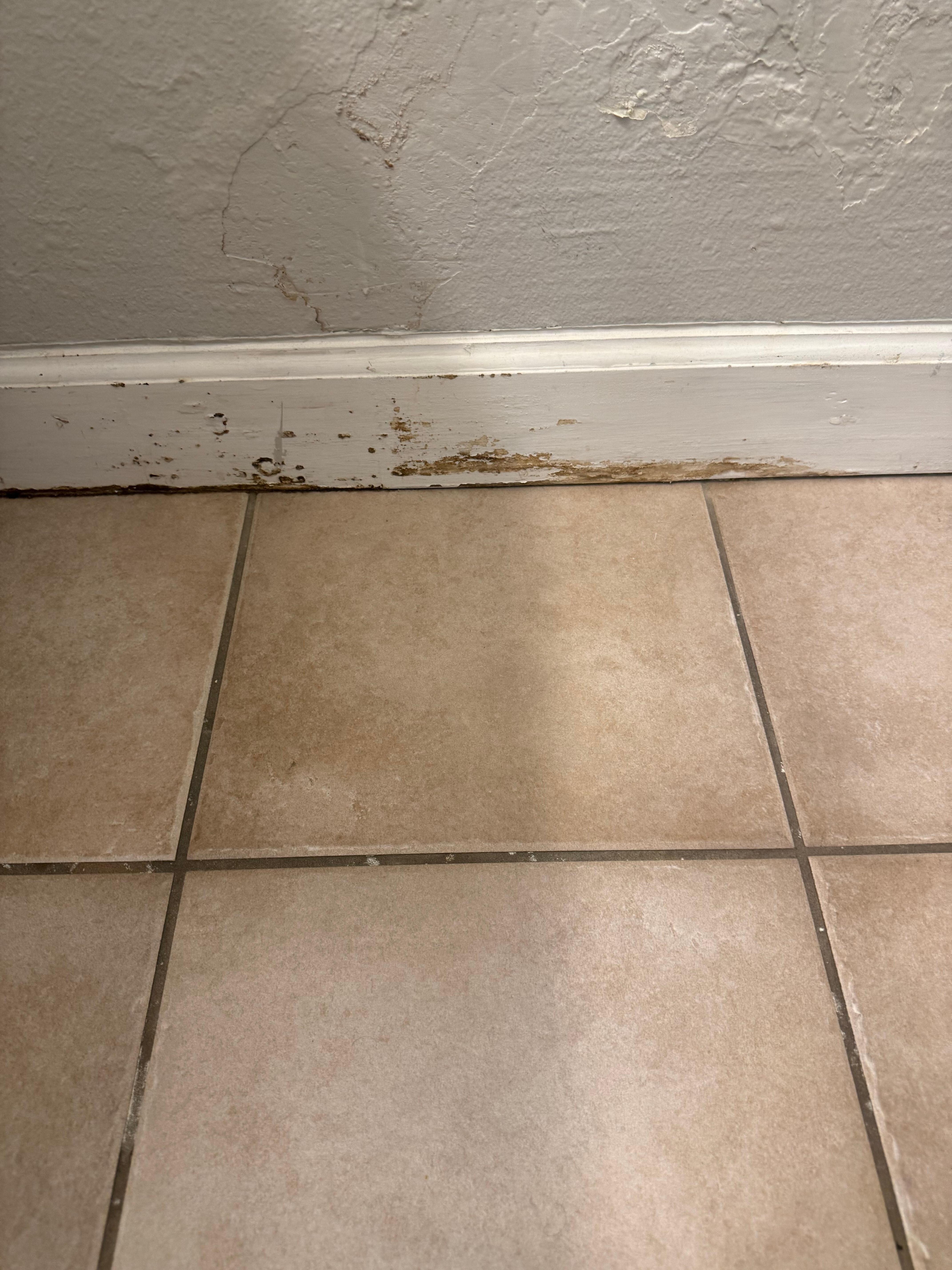 Just one of the pictures of baseboards. 