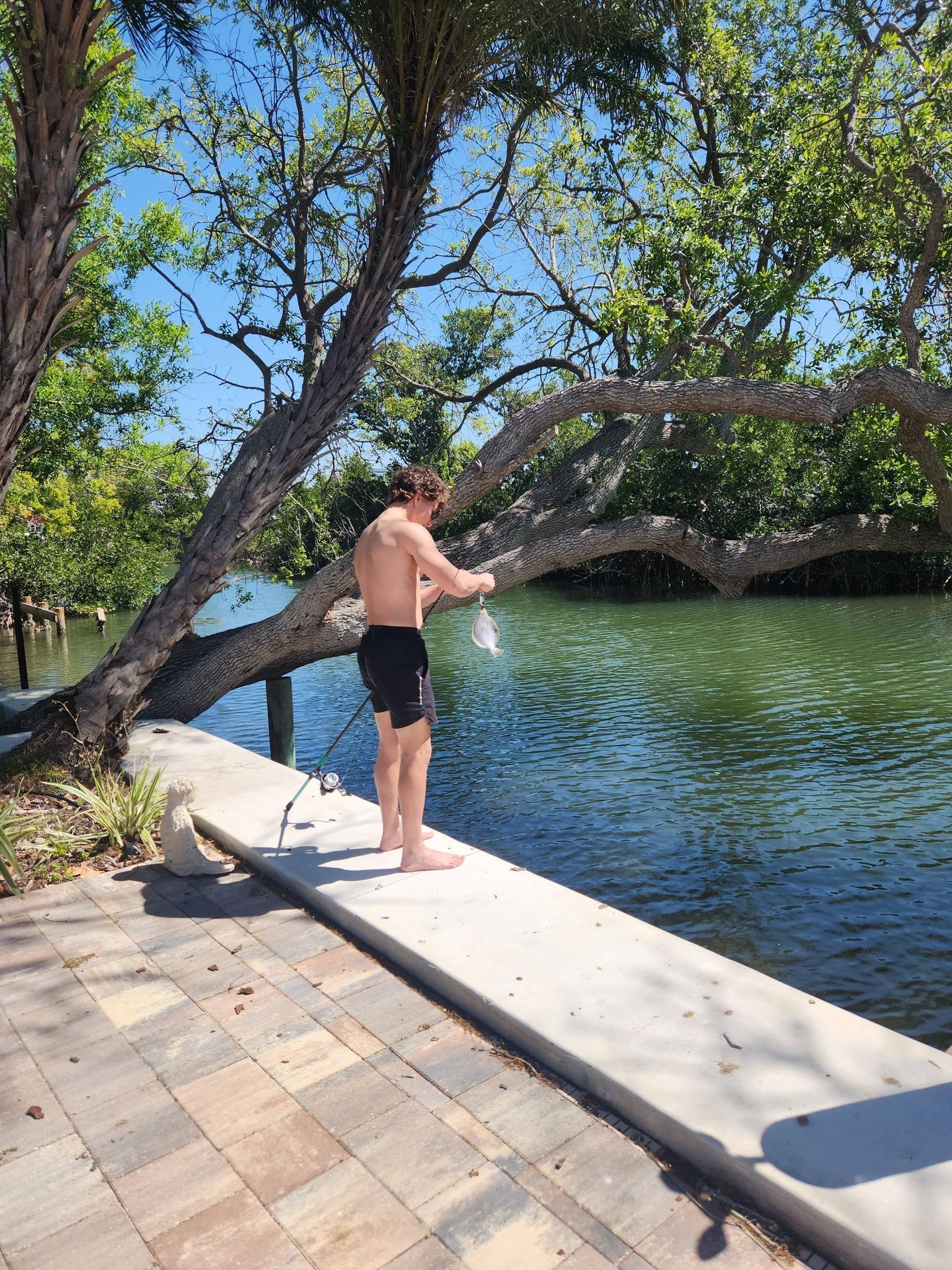 Lots of fun catch and release fishing from the dock!