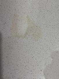 Lots of yellow stuff