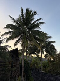 View off of our balcony