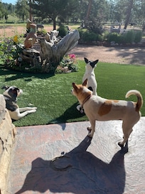 Welcoming Committee: Elle, Lucy & Miley
