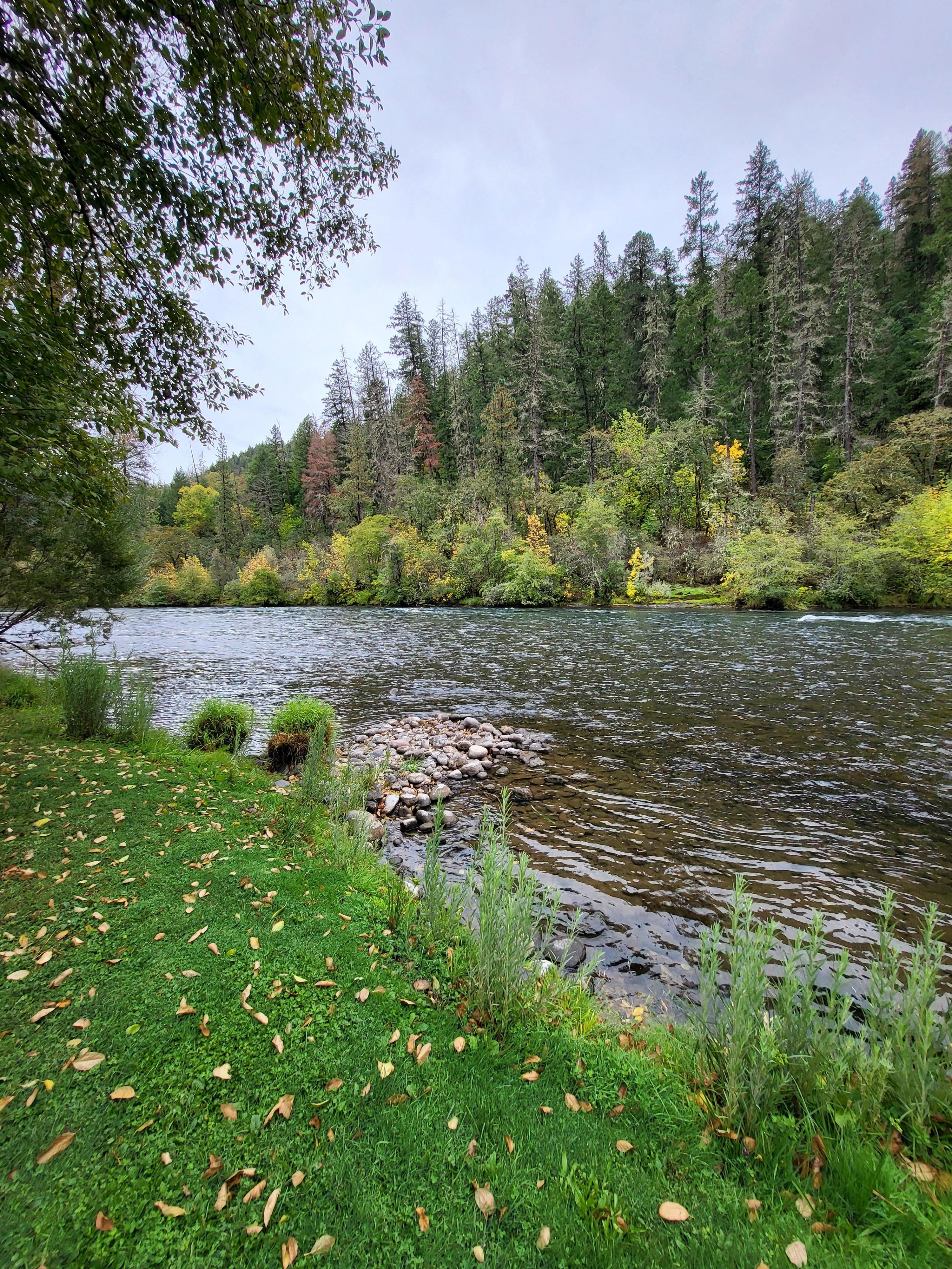 Down at the bank of the river