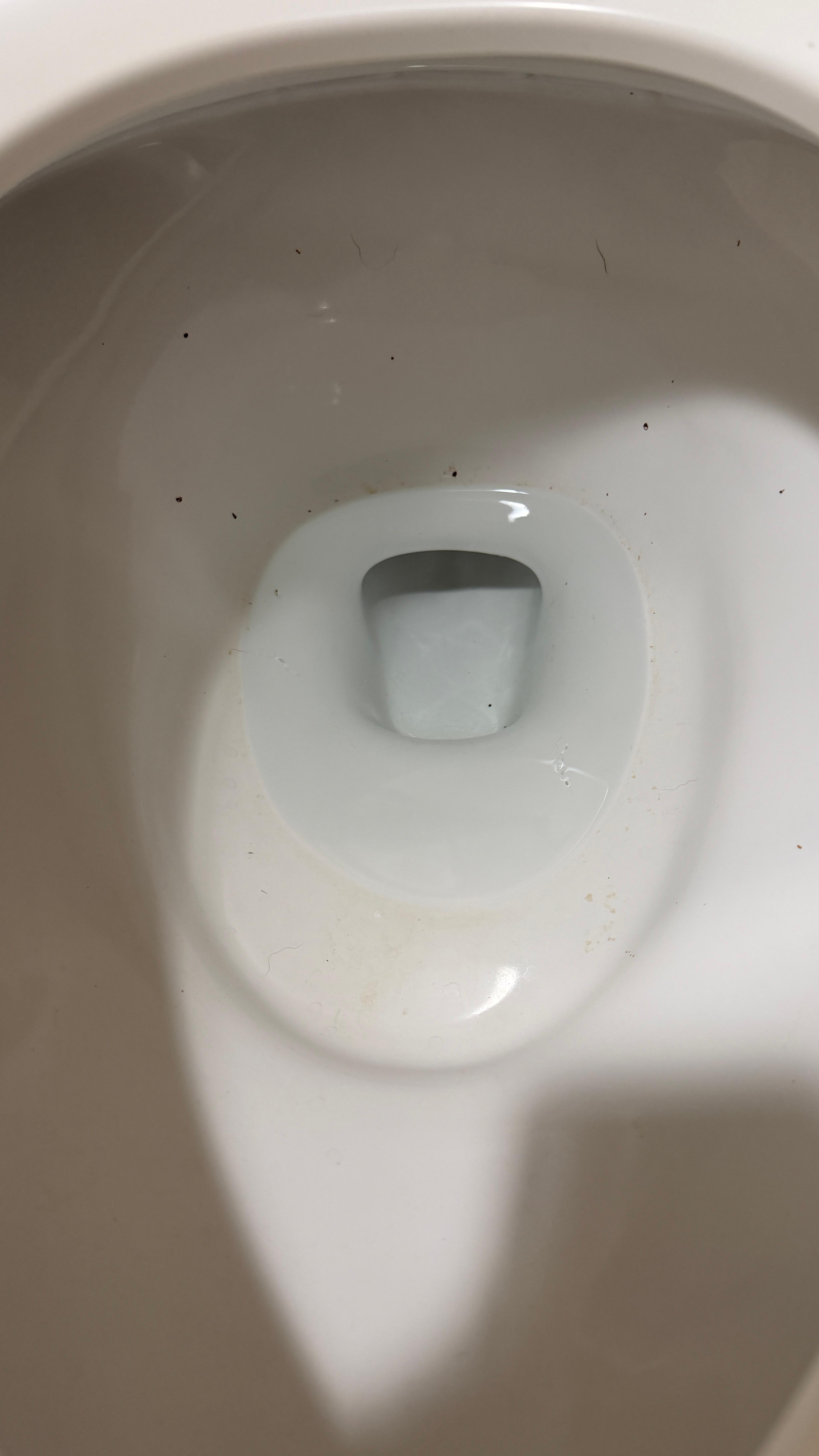 Specks of poop in the toilet 
