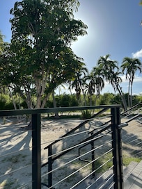 Our patio view