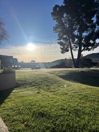 Morning view from room