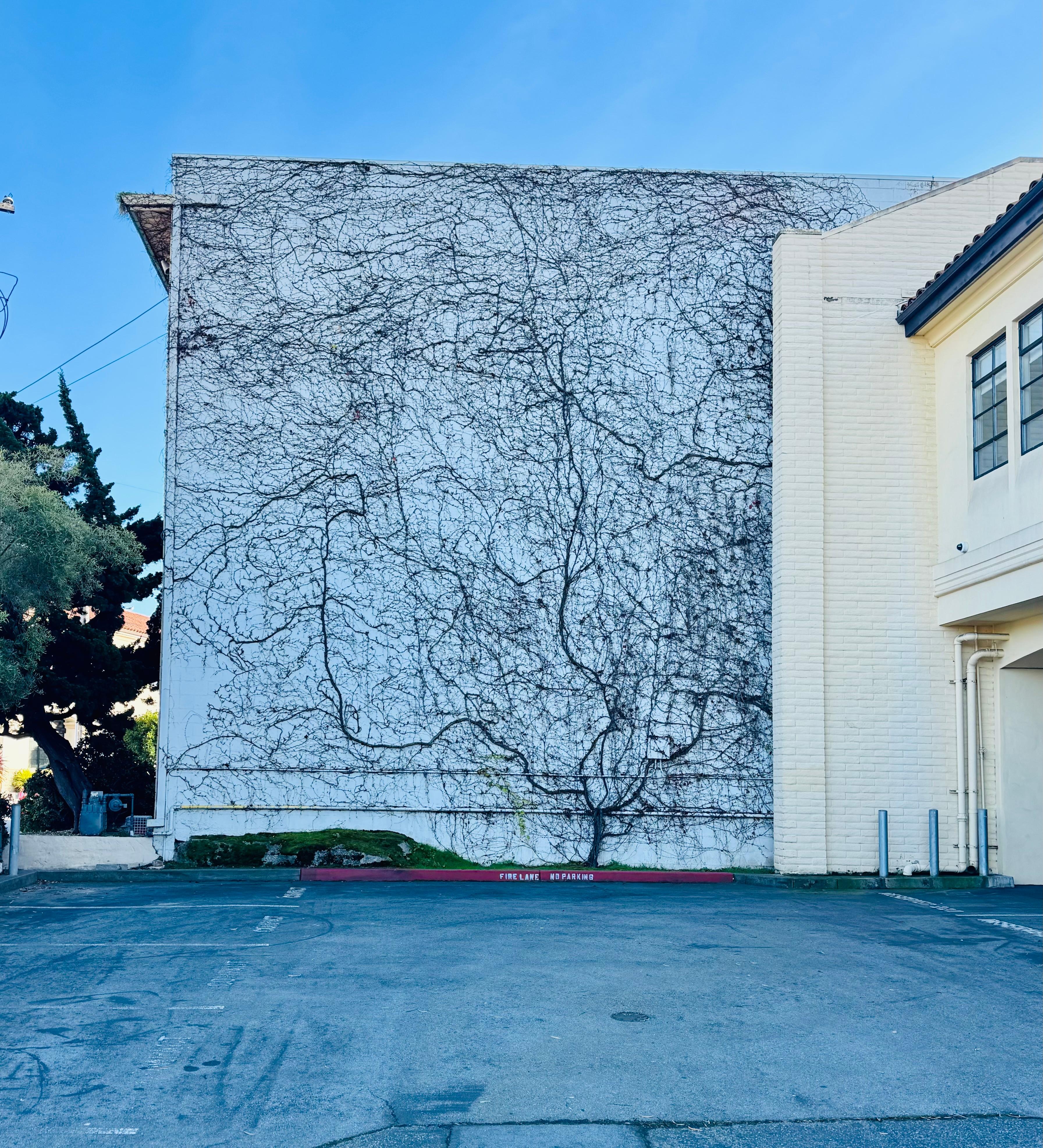 Backside of the hotel. I thought it was a mural at first. 