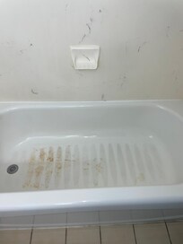 Rust/stains in the shower
