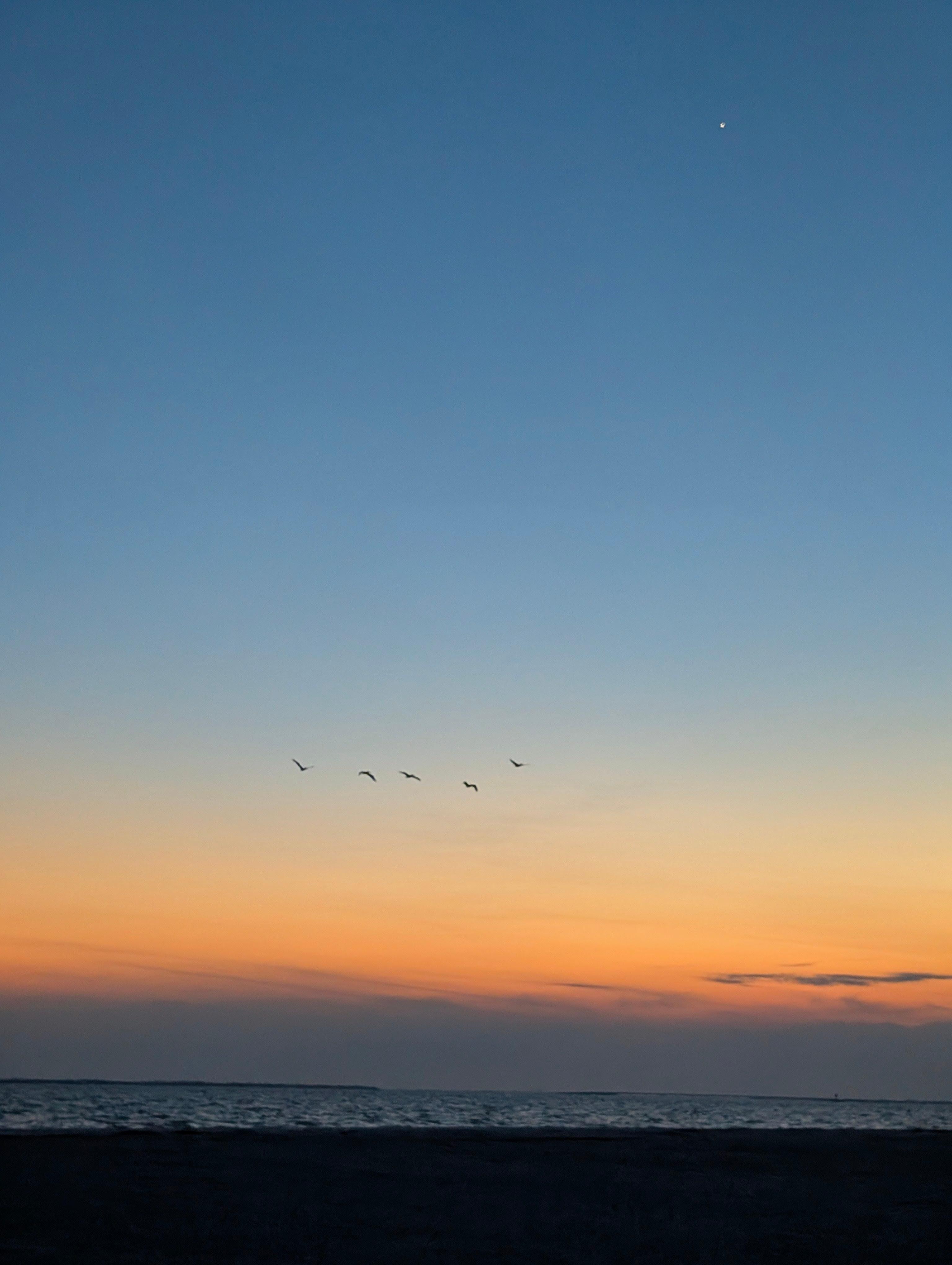 Sunset on the beach 