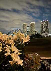 Toyosu Park