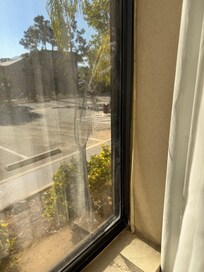 Window screen torn