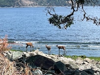 Taken from the terrace.