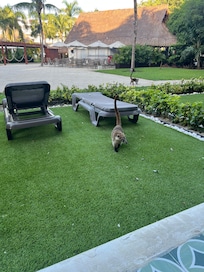 Morning visitors!