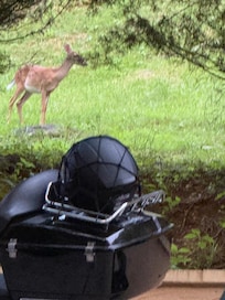 50 feet from the front door