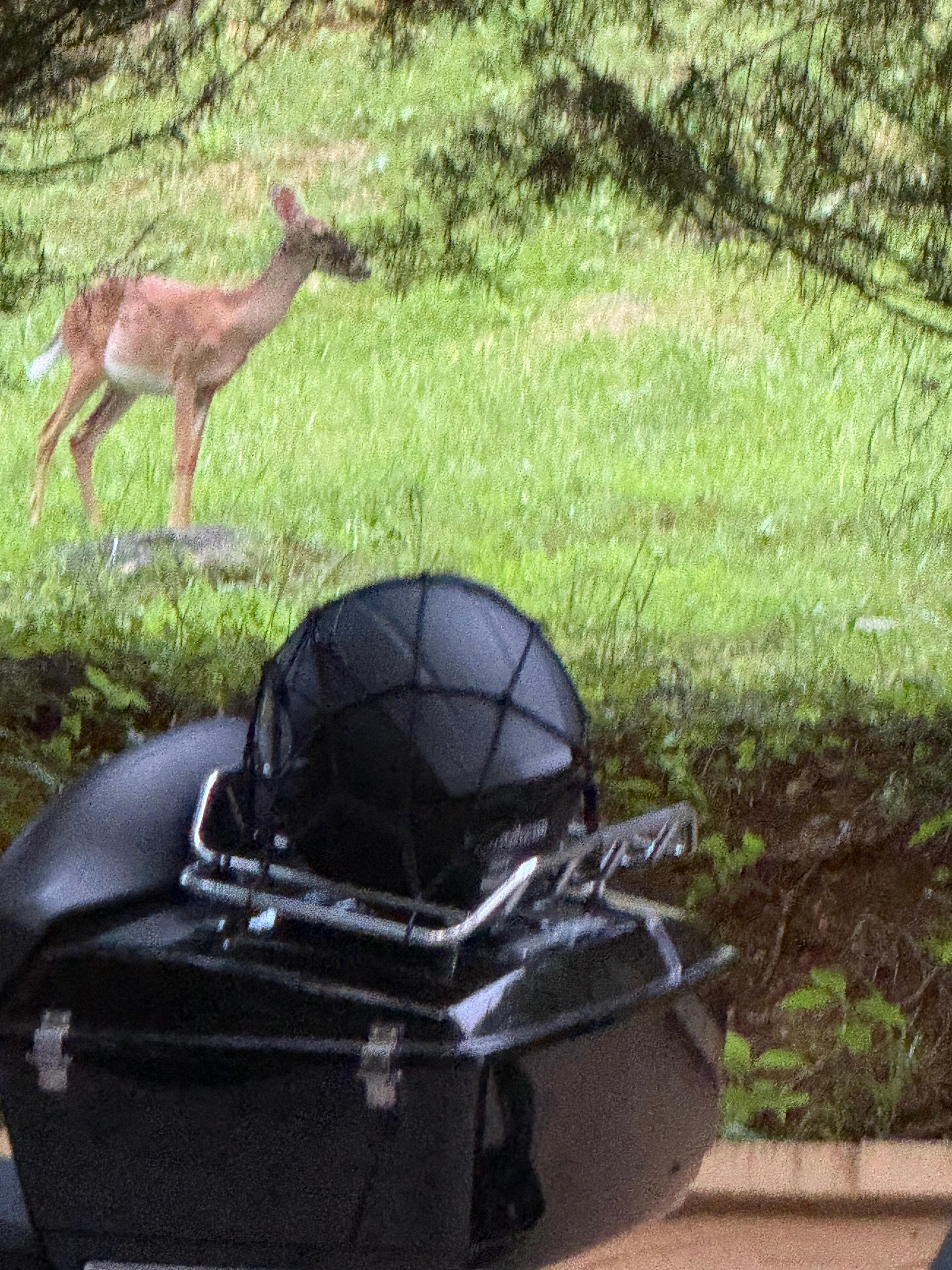 50 feet from the front door 