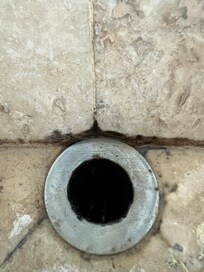 Mold in bathroom sink