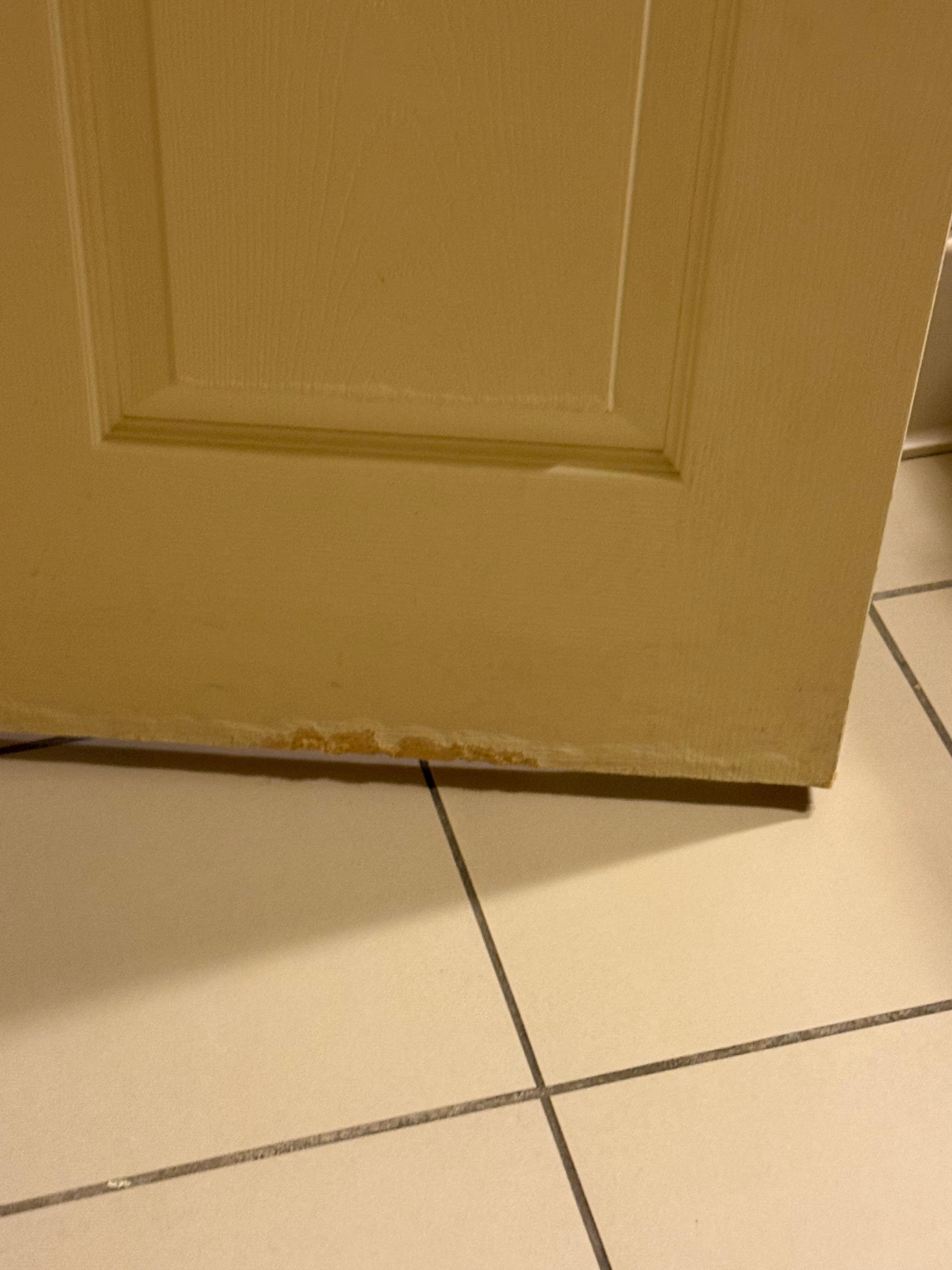 Water damaged bathroom door