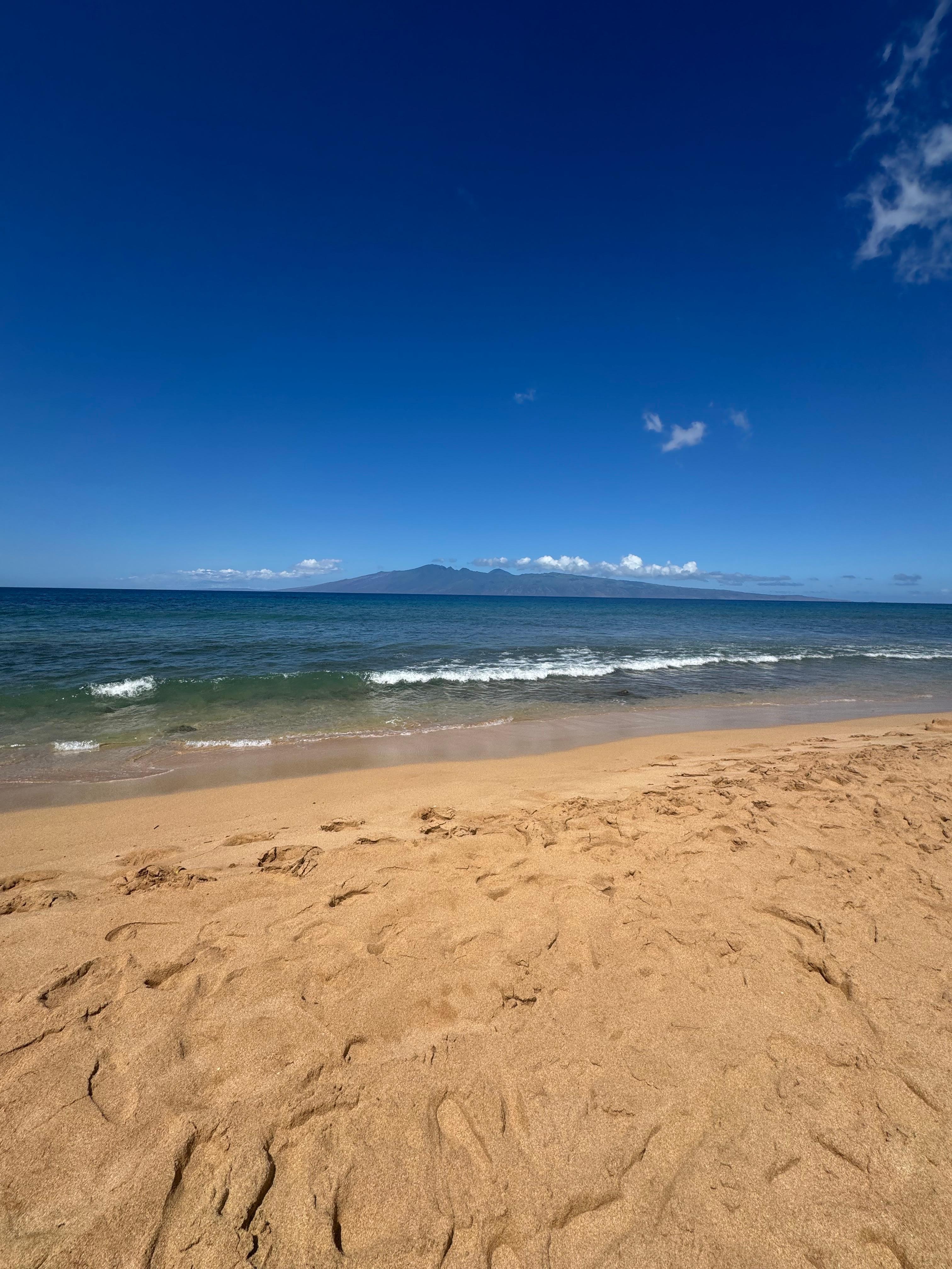 Beach in front of the property 