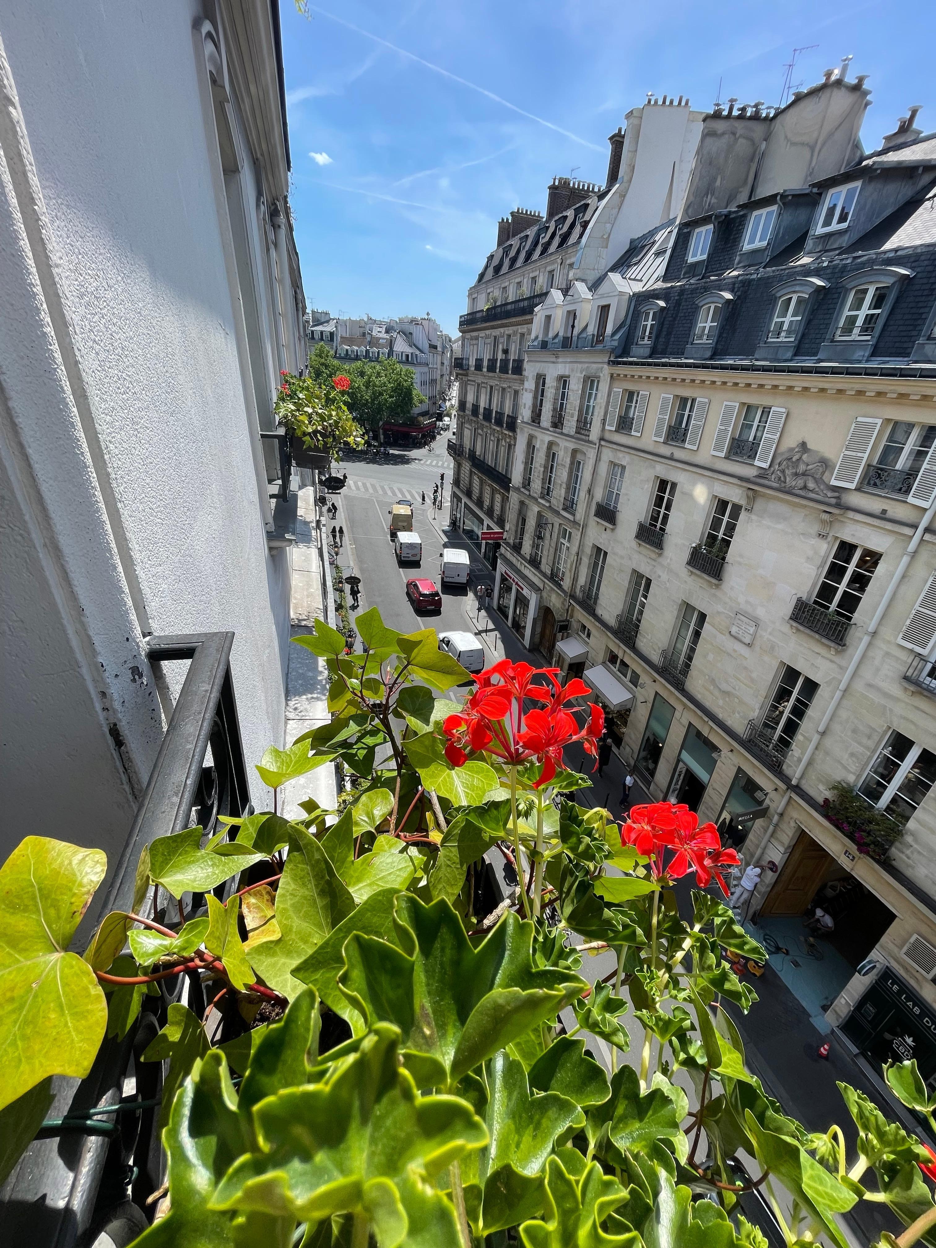 View from 4th floor window