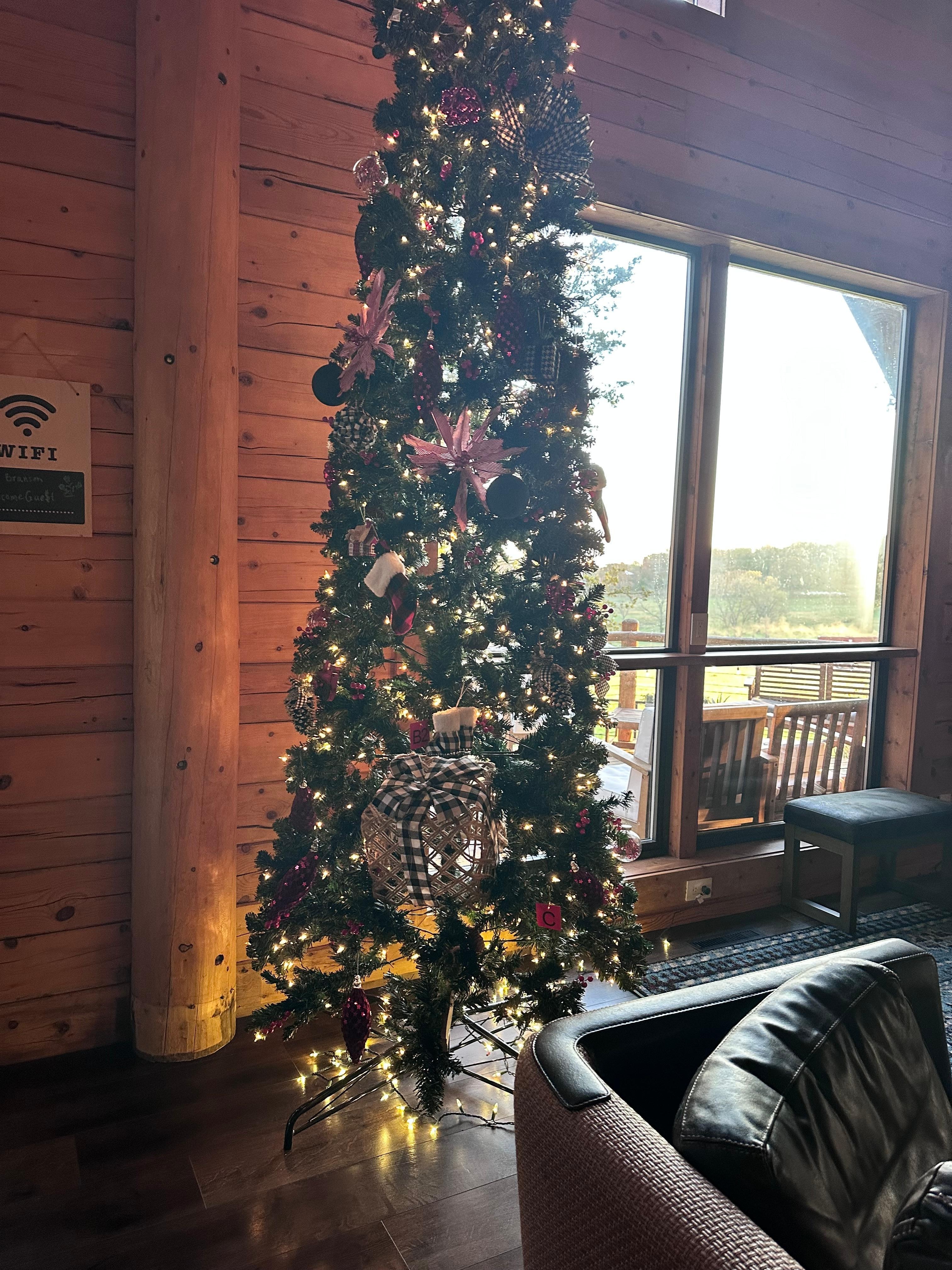 We had a decorated Christmas tree and lights throughout the house. Put us all in the holiday spirit. 