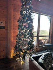 We had a decorated Christmas tree and lights throughout the house. Put us all in the holiday spirit.