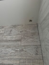 Mold in the shower celing