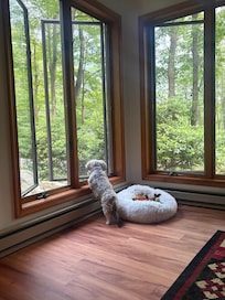 Even our pup had fun watching the wildlife