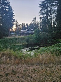 The morning view looking up to the house from their pond.