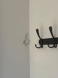 Asking for roaches to compliment the flies