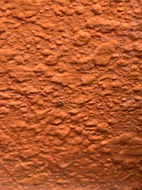 Ants